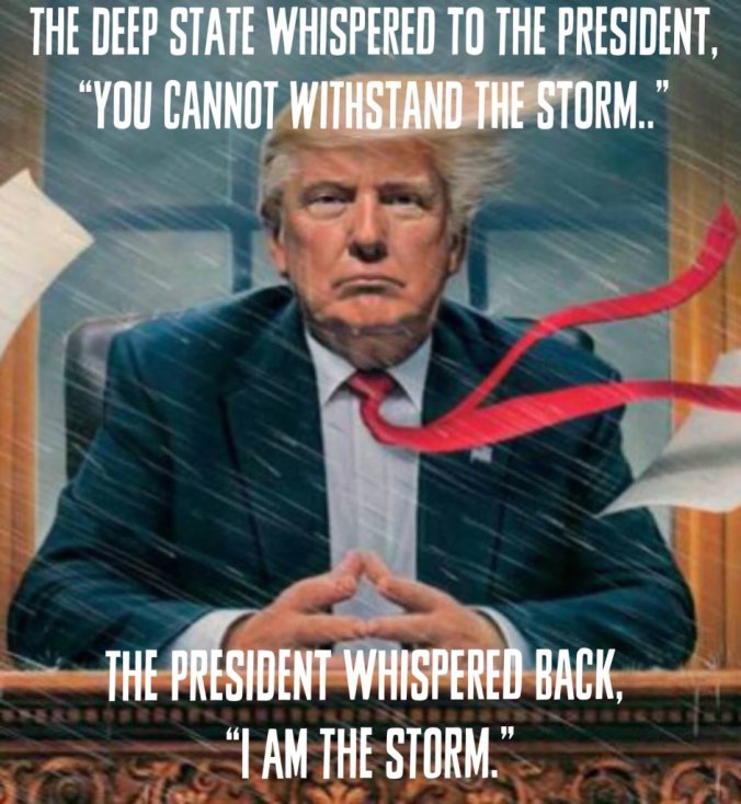 Trump I am the storm